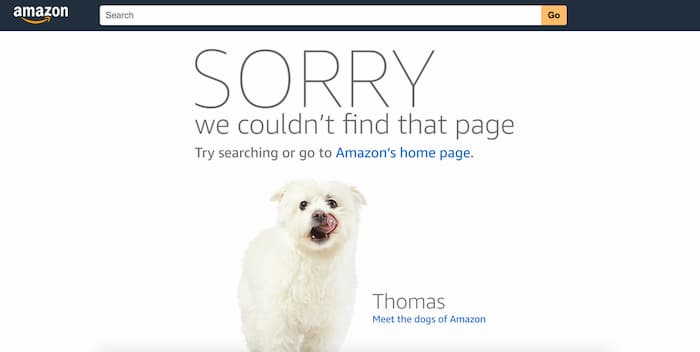 Amazon 404 not found page example