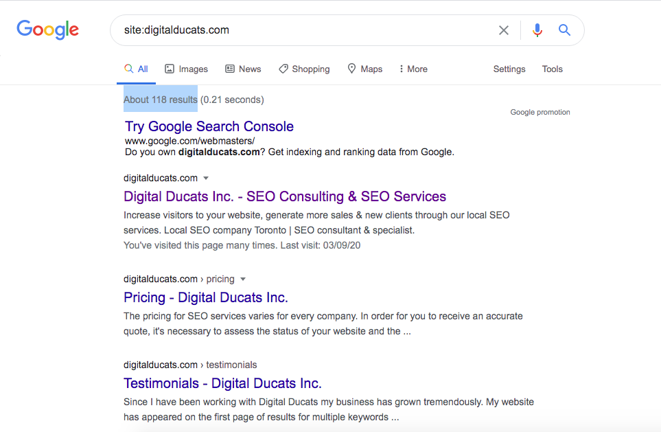 Using a site search will generate the number of pages indexed on Google which is valuable insight for your SEO site analysis